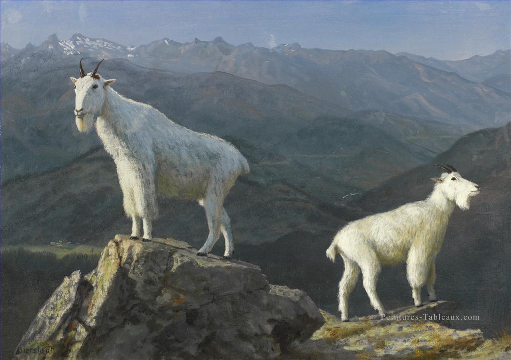 MOUNTAIN GOATS Animal américain Albert Bierstadt Peintures à l'huile